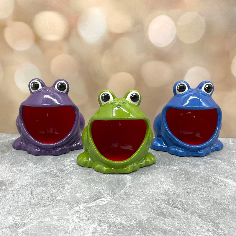 Frog Holder