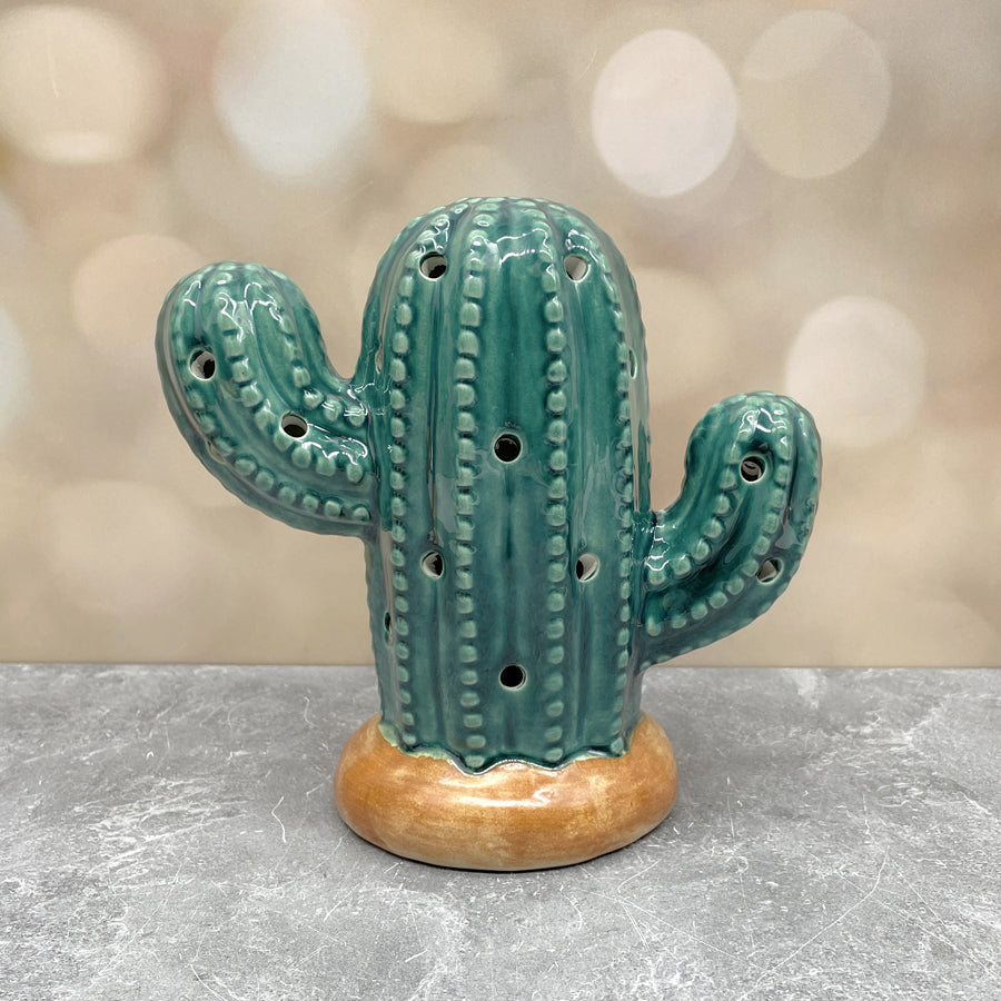 Light-up Cactus