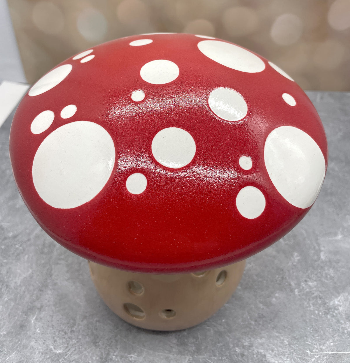 Mushroom Lantern