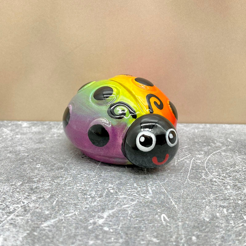 Happy Ladybug Friend