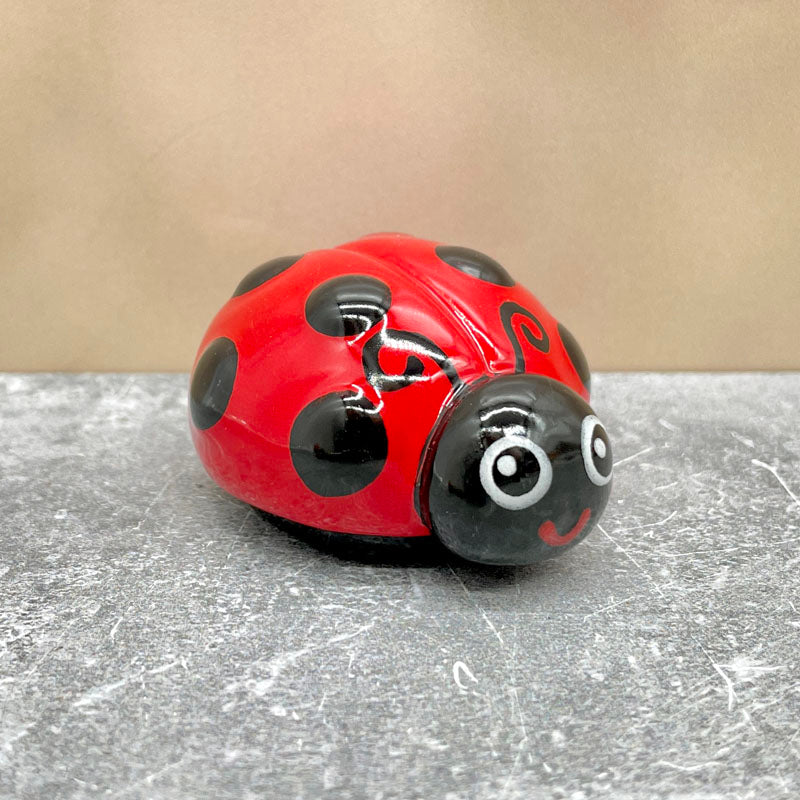 Happy Ladybug Friend