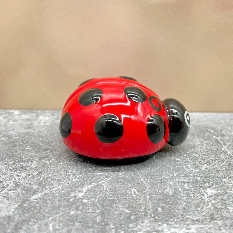 Happy Ladybug Friend