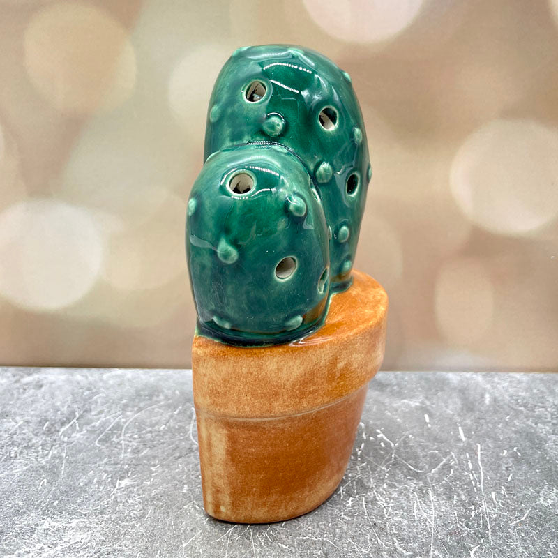 Cactus Night Light