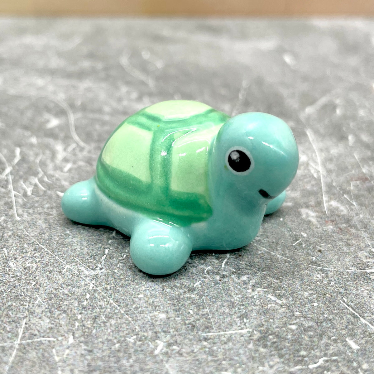 Happy Little Turtle Friends