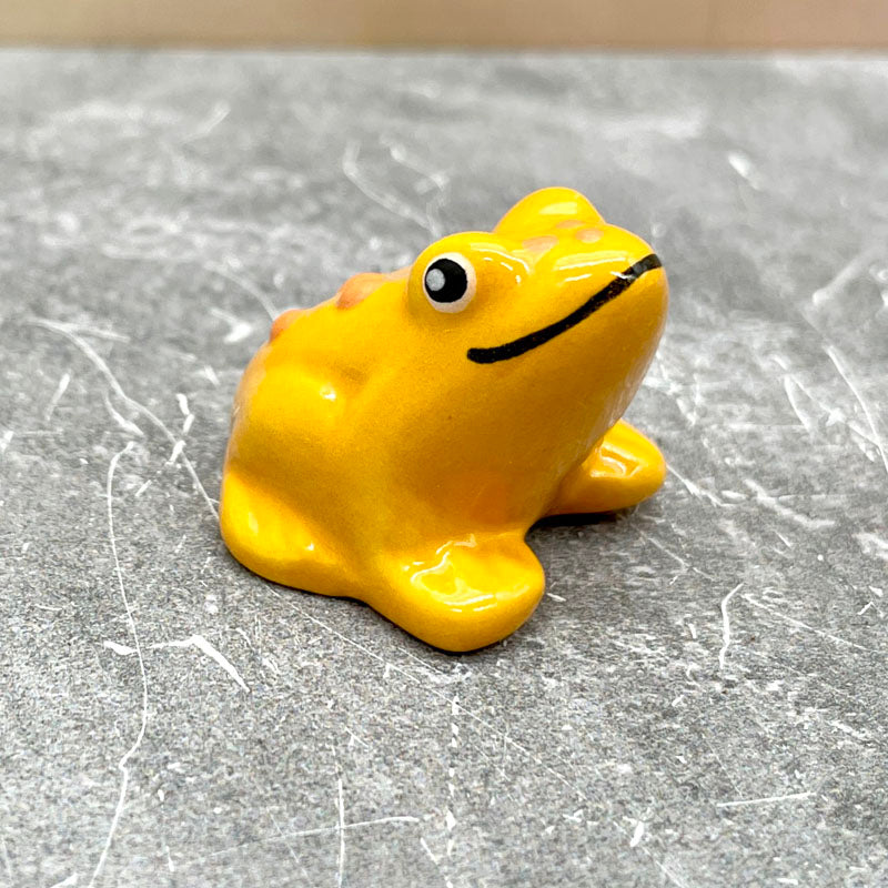 Happy Little Frog Friends