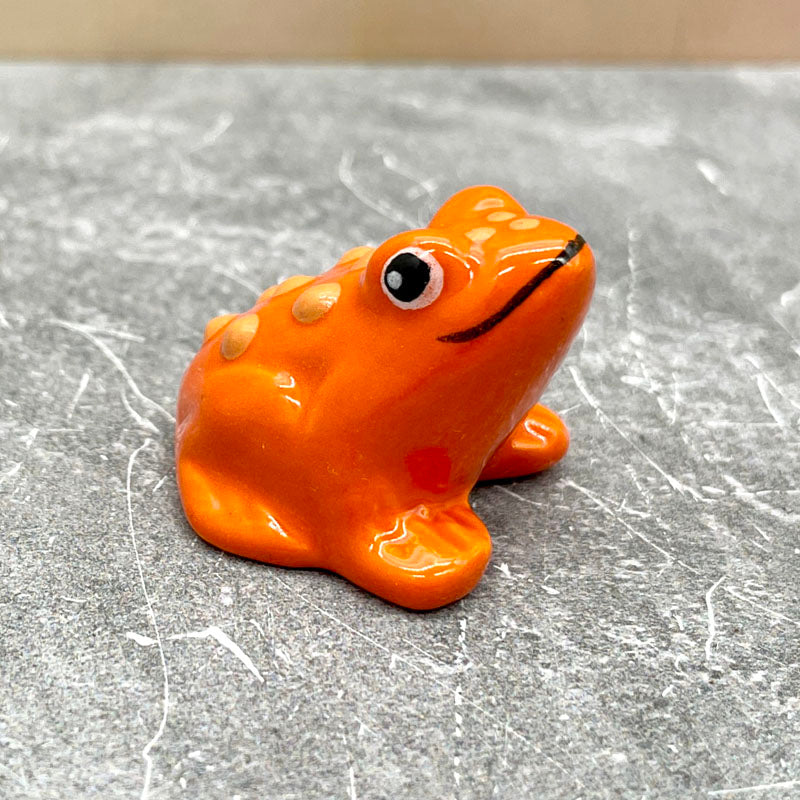 Happy Little Frog Friends