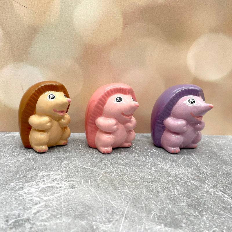 Happy Hedgehog Friend