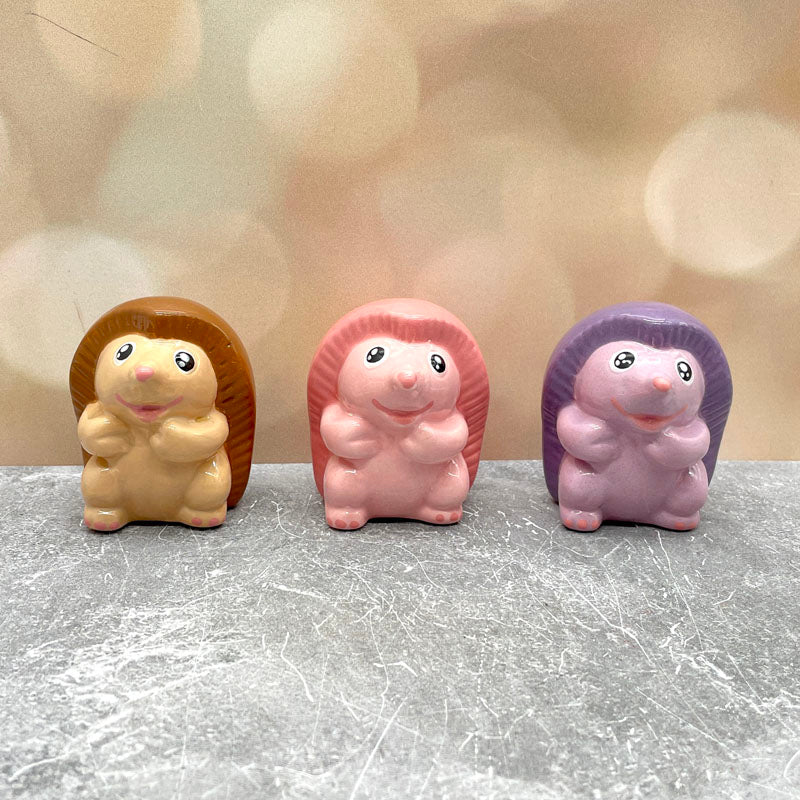 Happy Hedgehog Friend