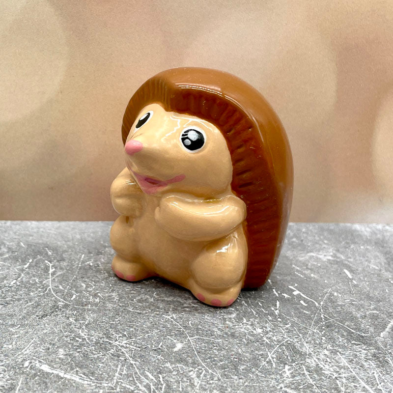 Happy Hedgehog Friend