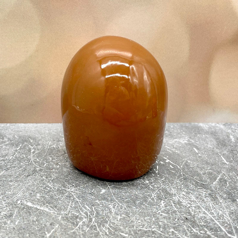 Happy Hedgehog Friend