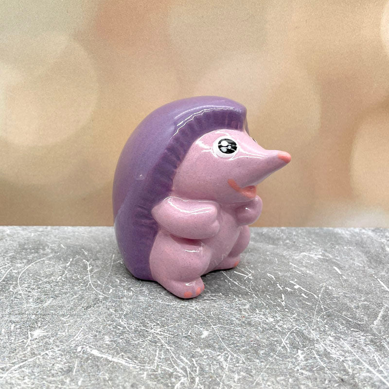 Happy Hedgehog Friend