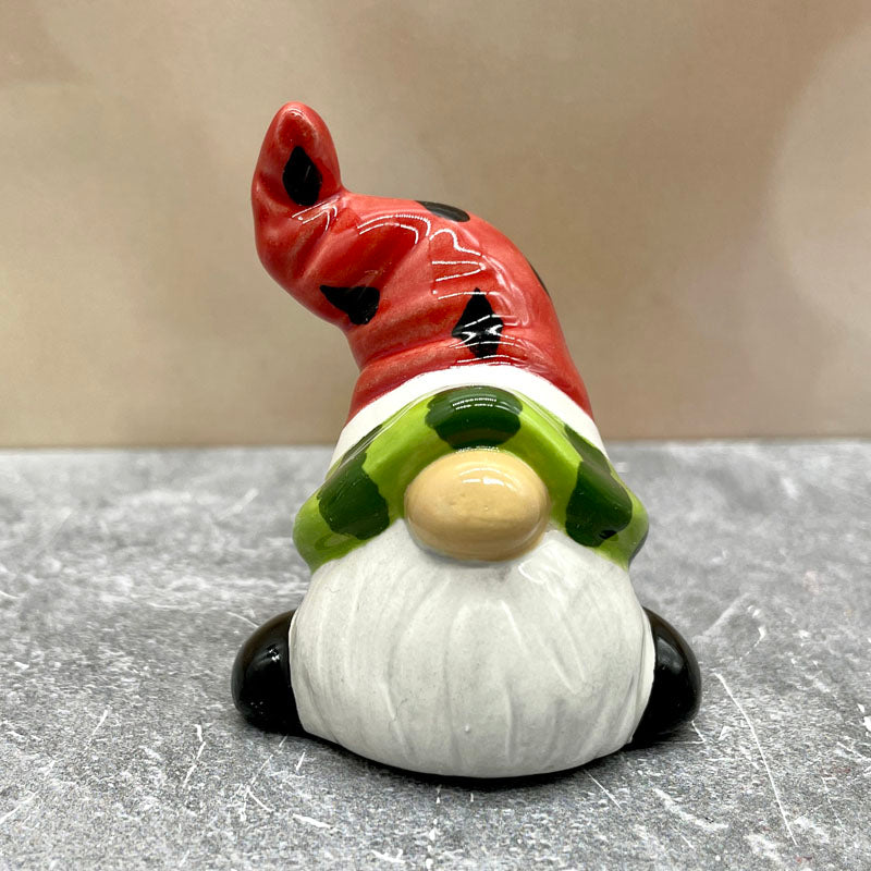 Happy Little Gnome Friends