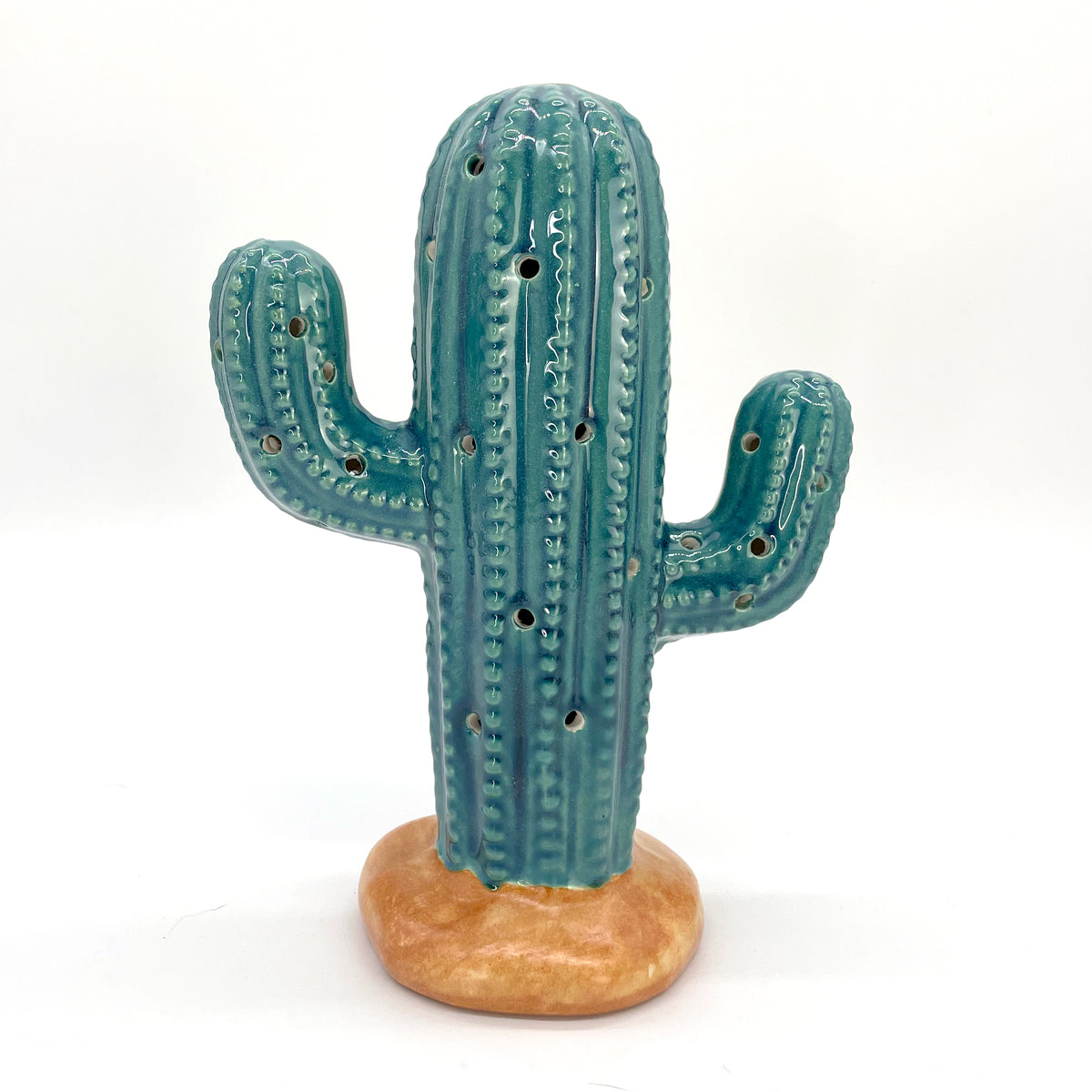 Light-up Cactus: PRE-ORDER